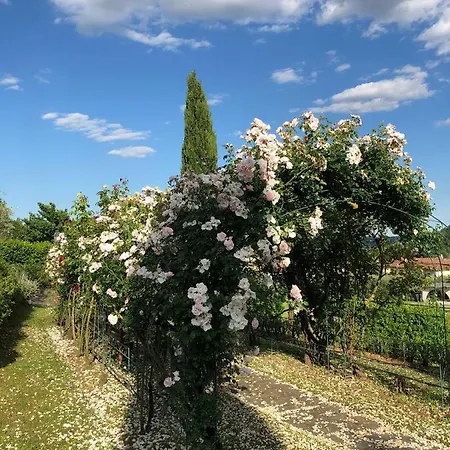 Il Giardino Di Flora * Buti